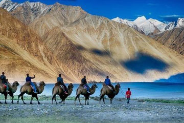 Amritsar to Leh Taxi Service